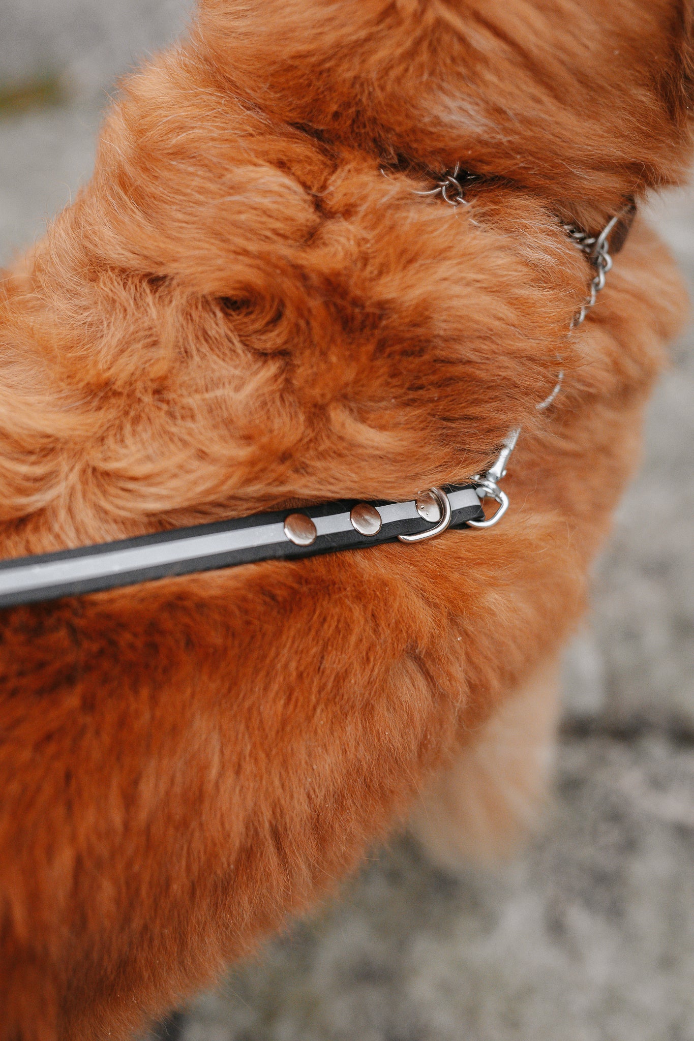 Rex justerbart multikoppel i reflex