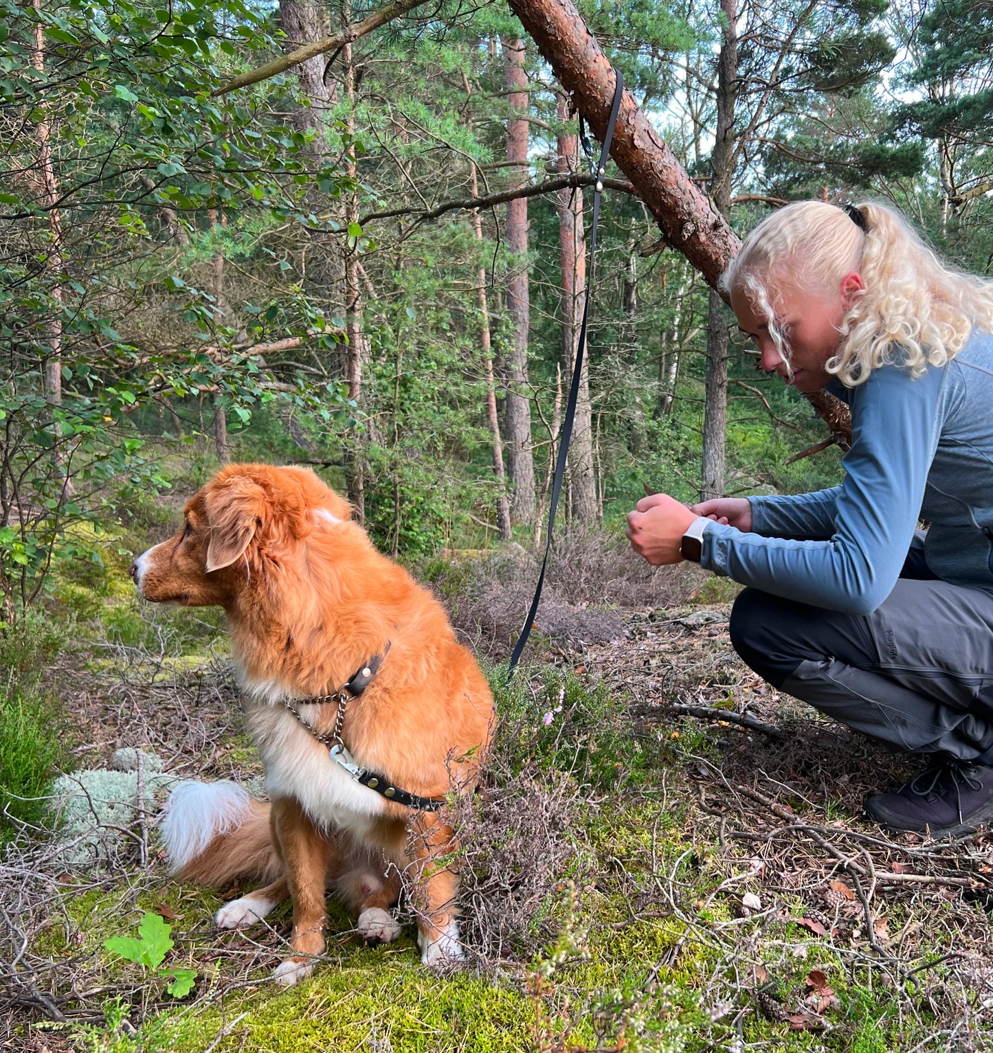 Rex justerbart multikoppel i 2 och 3 meter. Koppel i hexa material att anpassa. Fäst runt kroppen eller justera längden