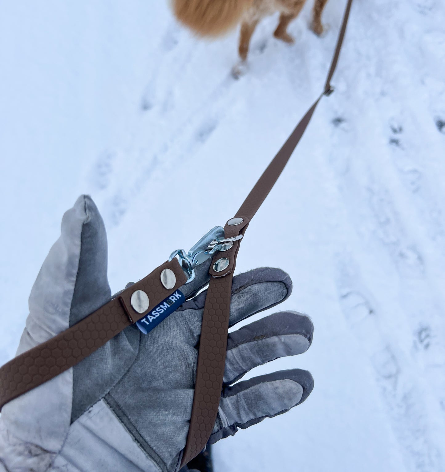 Rex justerbart multikoppel i 2 och 3 meter. Koppel i hexa material att anpassa. Fäst runt kroppen eller justera längden