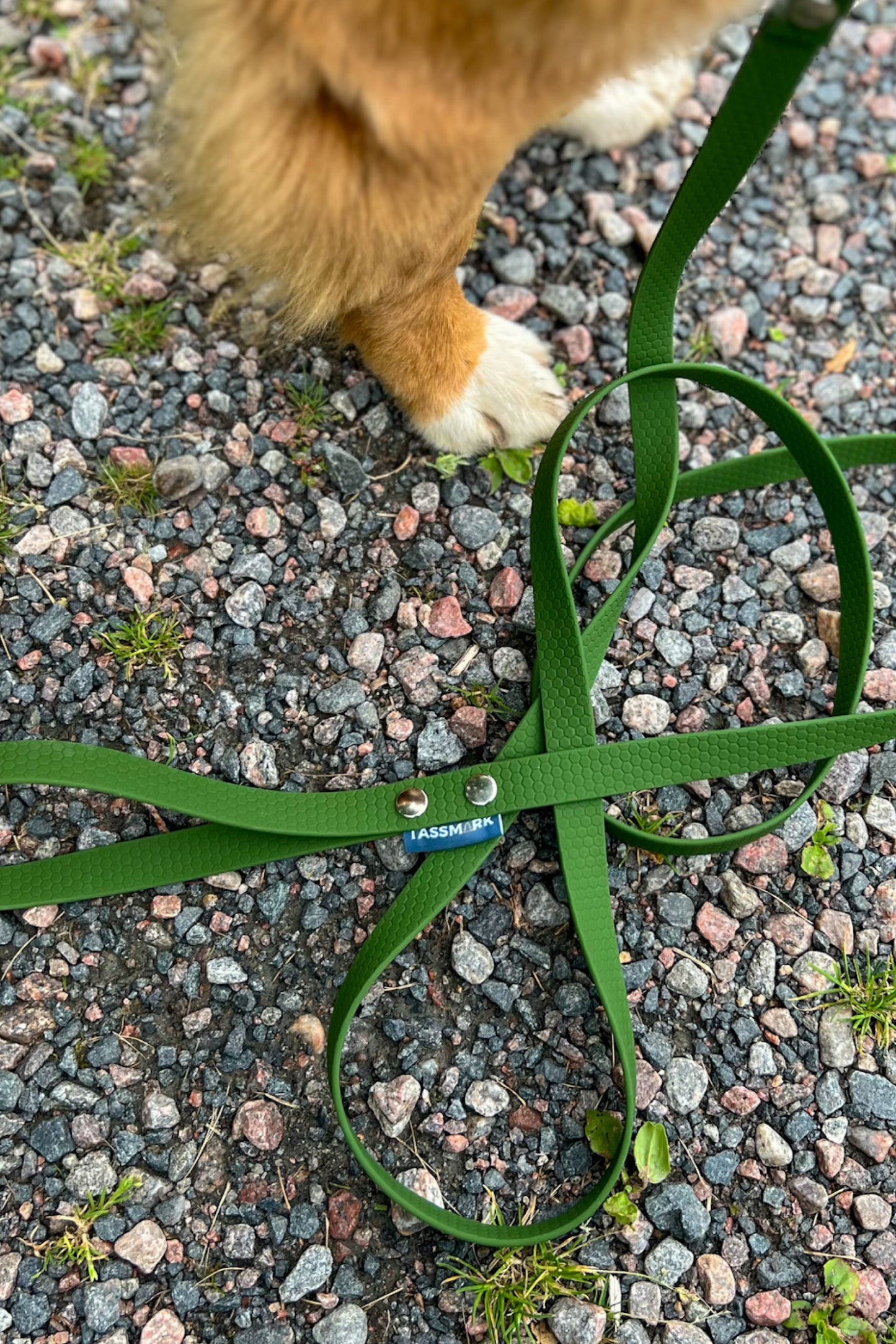 Svante 2 meter och 3 meter koppel med swedish snap hook eller bgb hake. I vattentätt hexa material som inte luktar