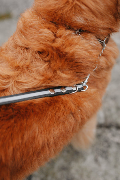 Rex justerbart multikoppel i reflex