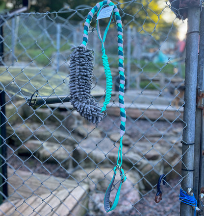 Zayma Agilitykoppel med kampfläta, pipleksak och bungee cord