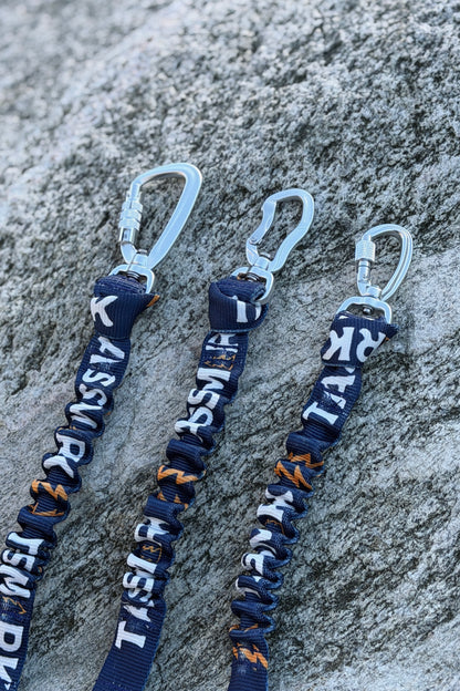 Elastisk bungee extender för koppel