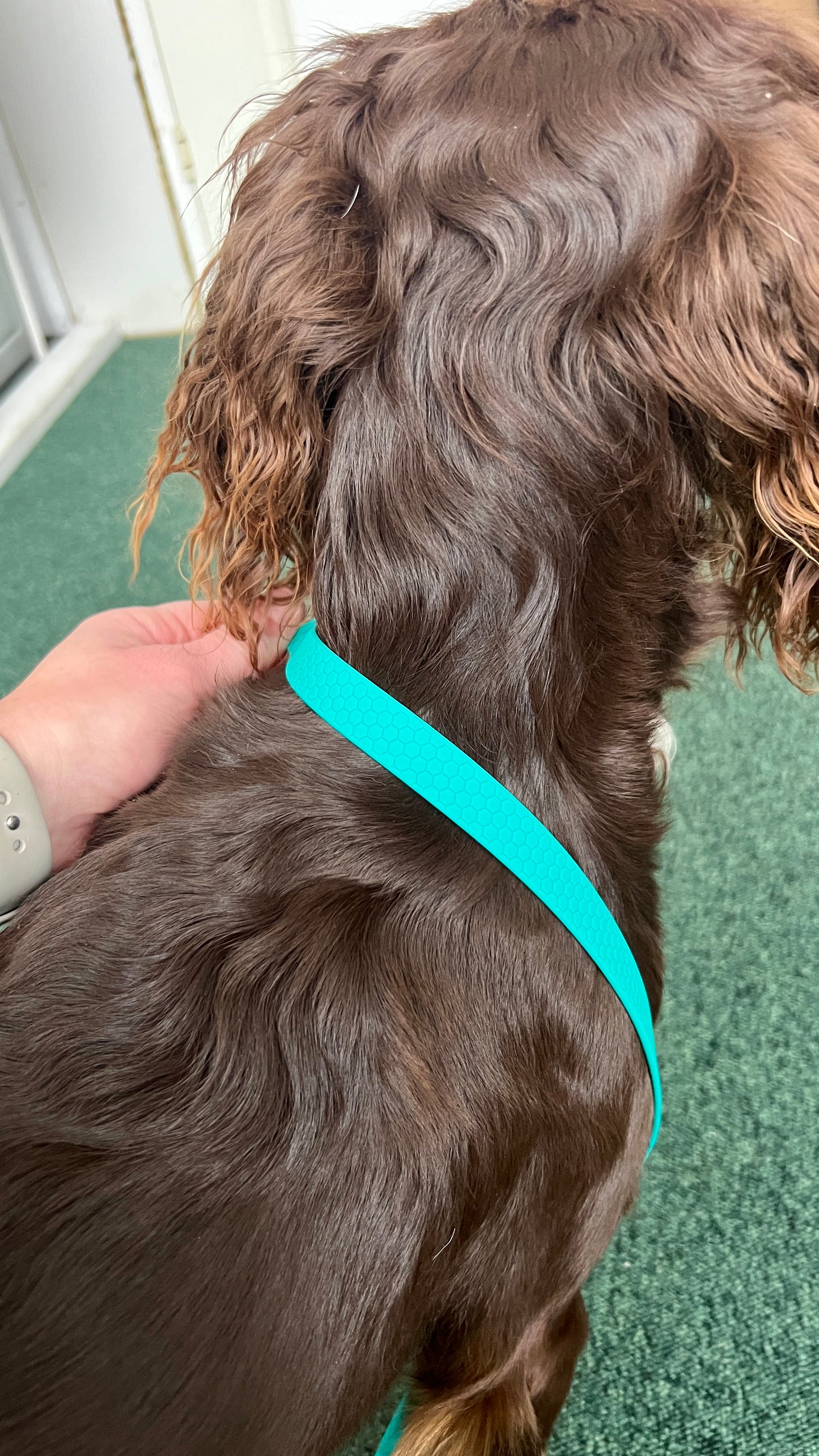 Agda halvstryp halsband med kedja