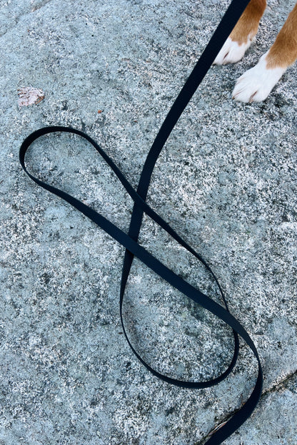 Svante hexa leash (wide)