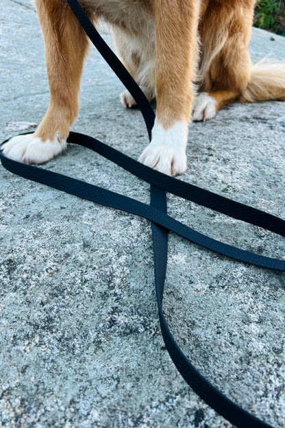 Svante hexa leash (wide)