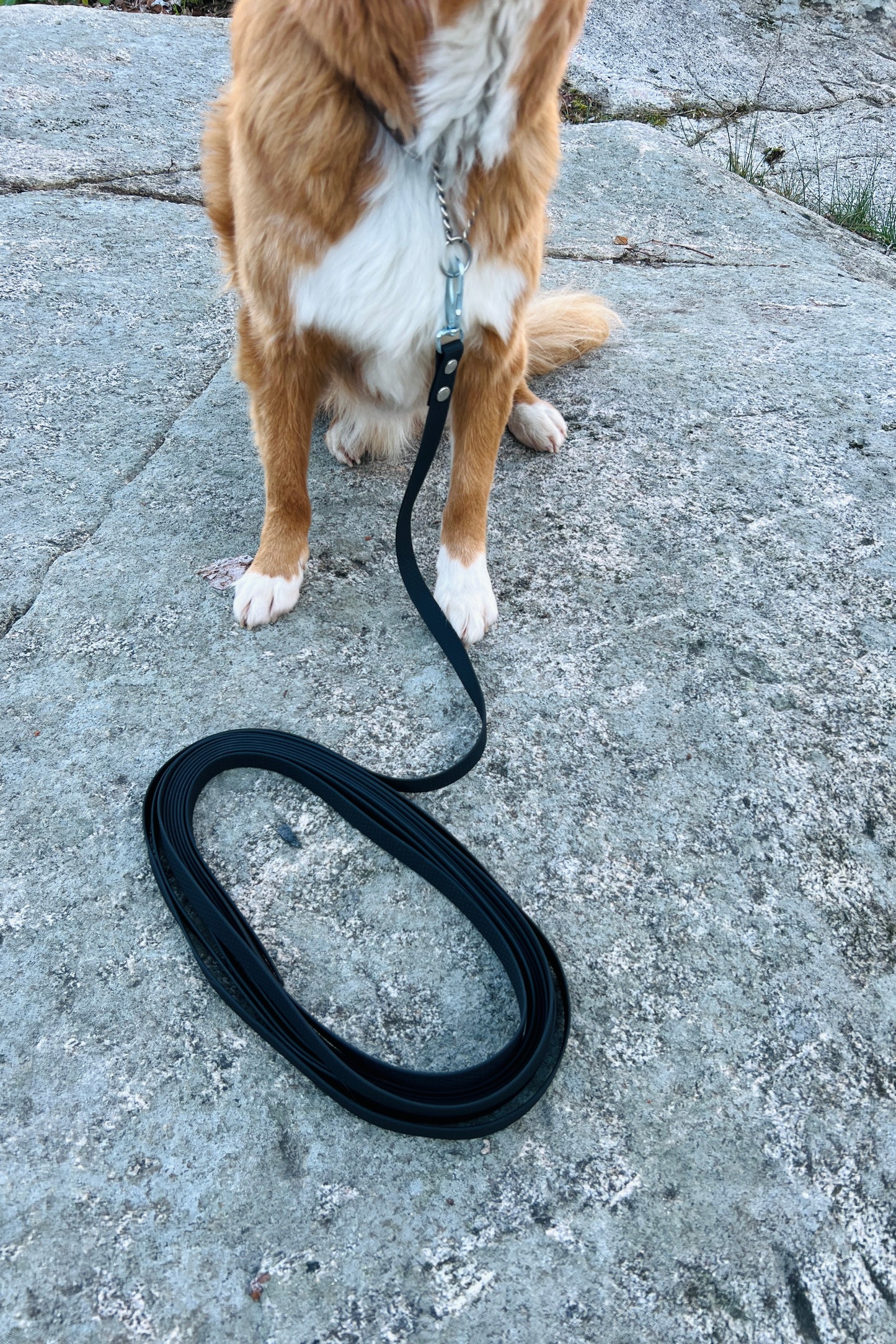 Zigge tracking line in hexa 5–20 m (wide)