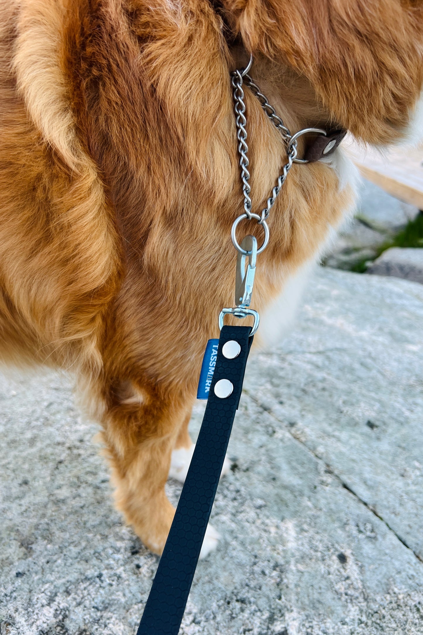 Zigge tracking line in hexa 5–20 m (wide)