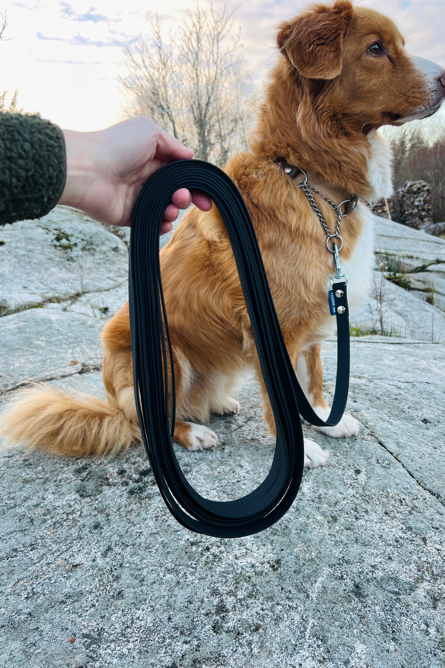 Zigge tracking line in hexa 5–20 m (wide)