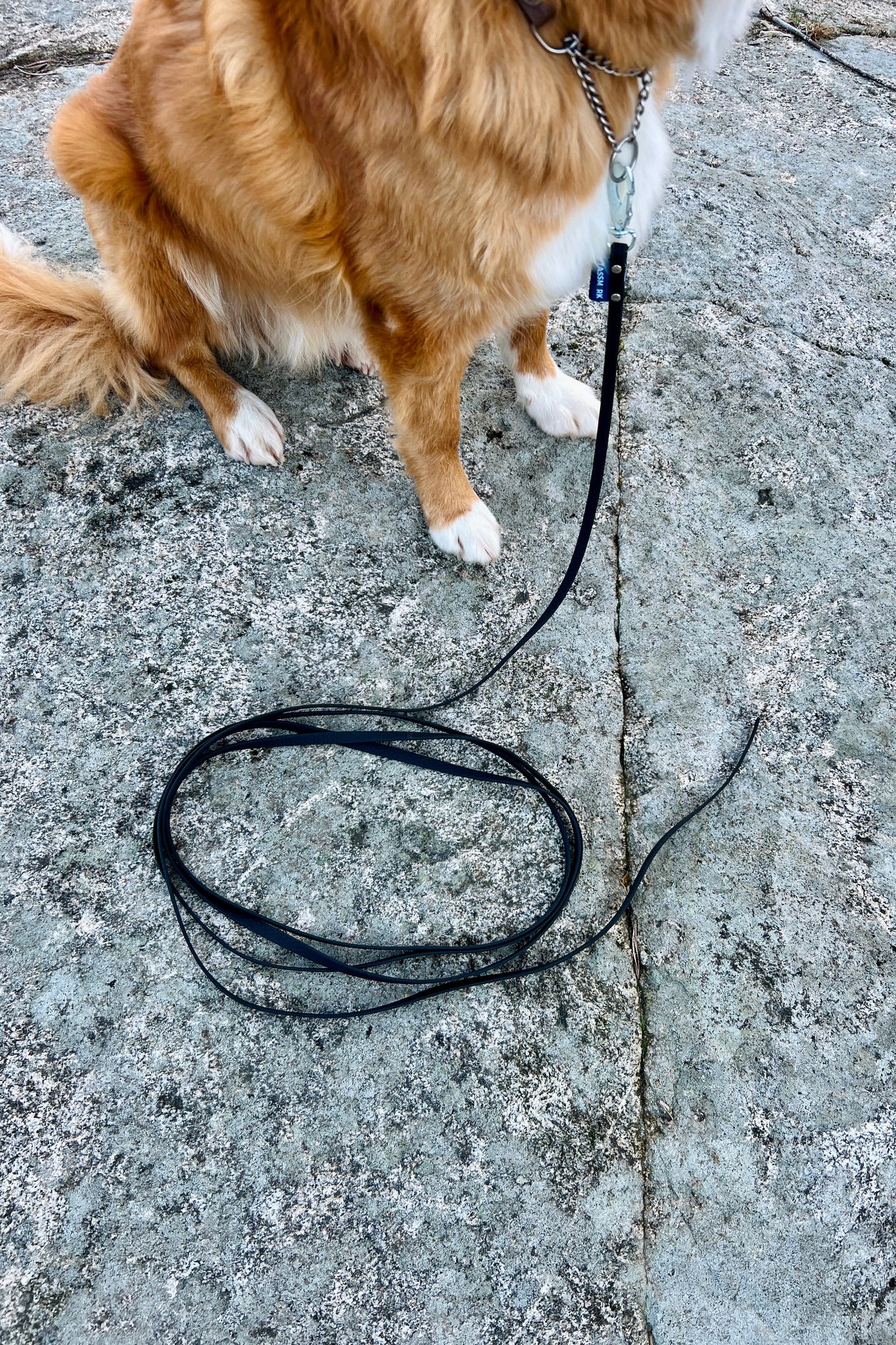 Tage search leash without handle (slim)