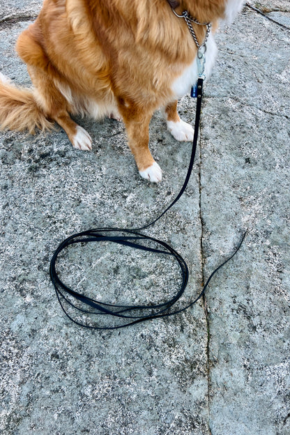 Tage search leash without handle (slim)