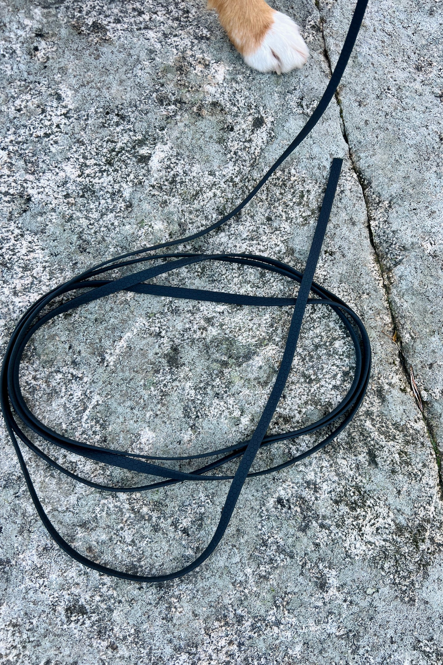 Tage search leash without handle (slim)