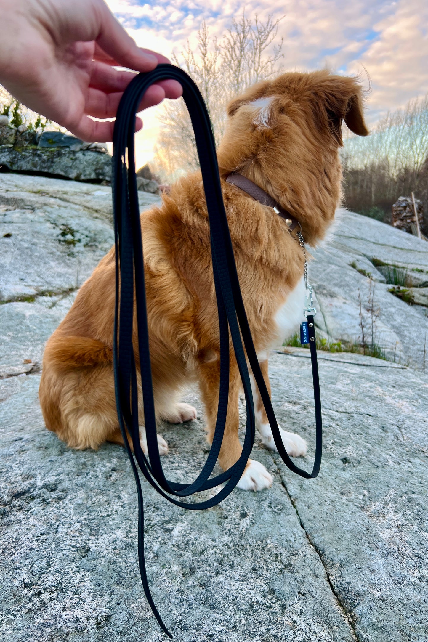 Tage search leash without handle (slim)