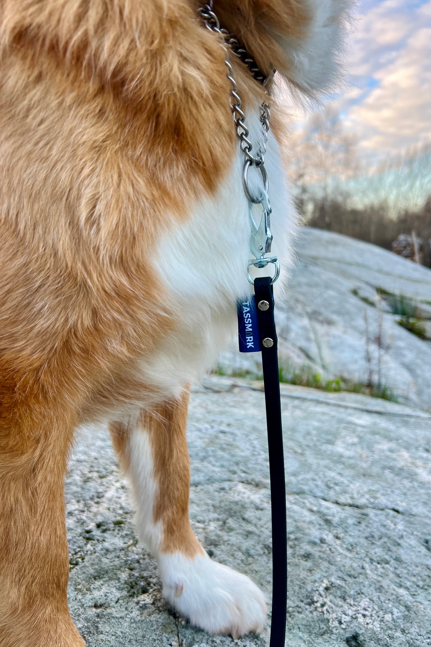 Tage search leash without handle (slim)