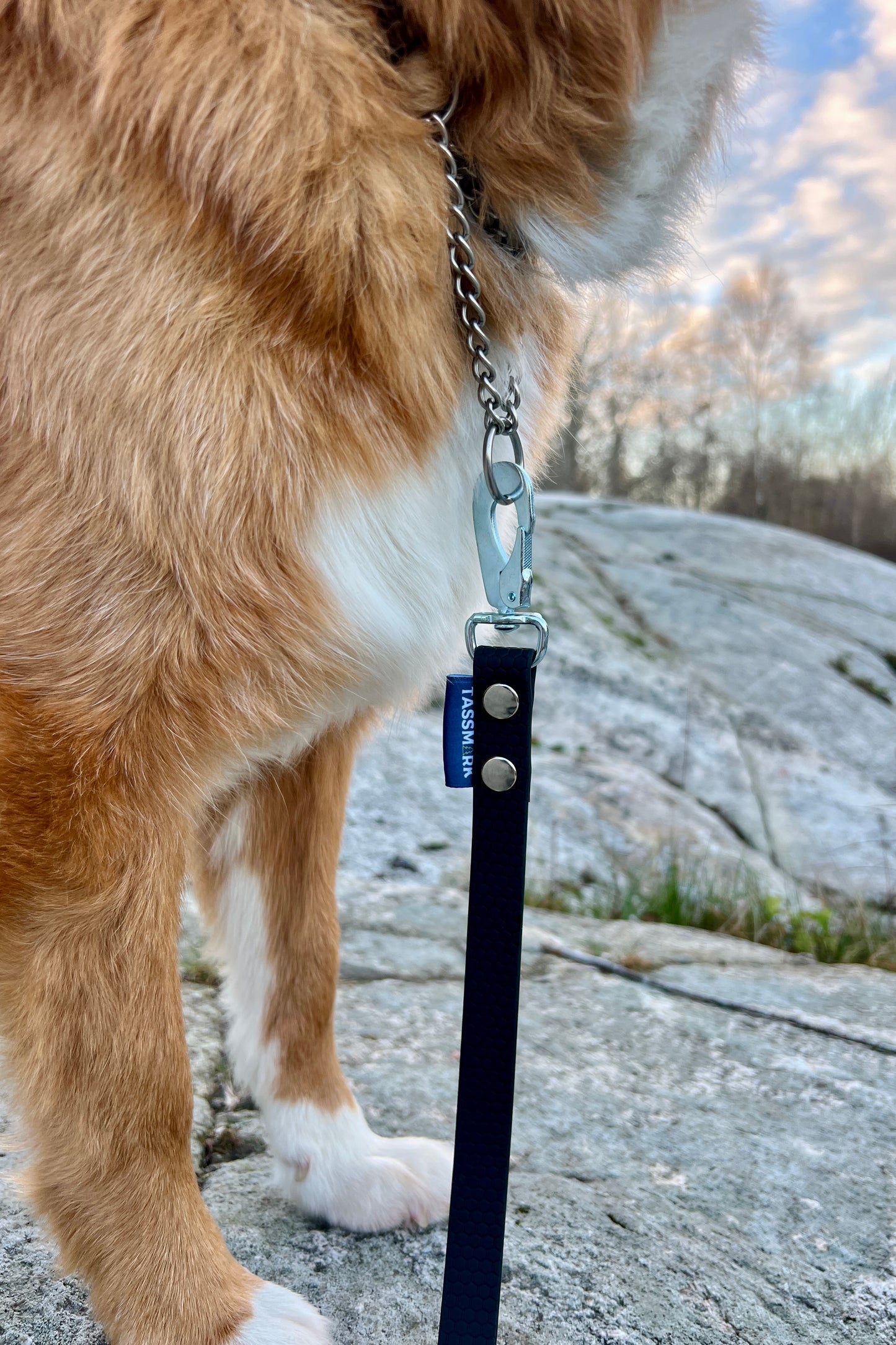 Tage sökkoppel utan handtag (bred)