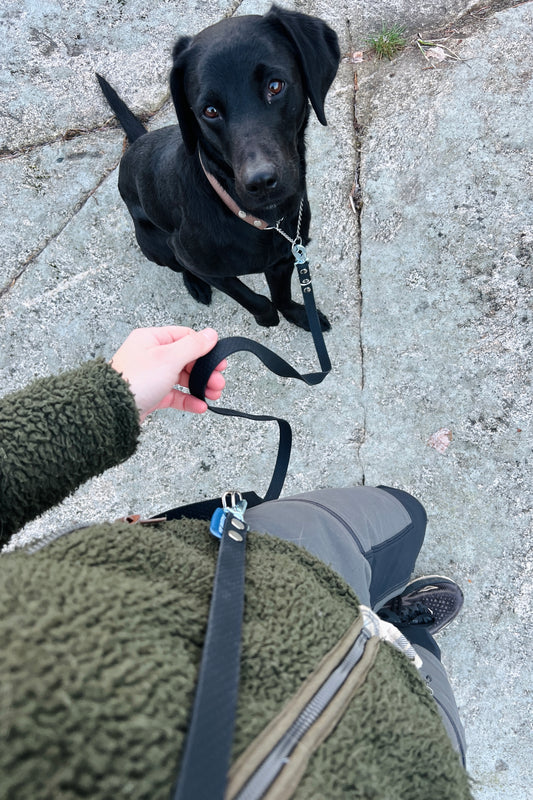 Rex adjustable multi leash (wide)