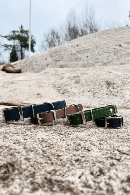 Saga klassiskt hundhalsband