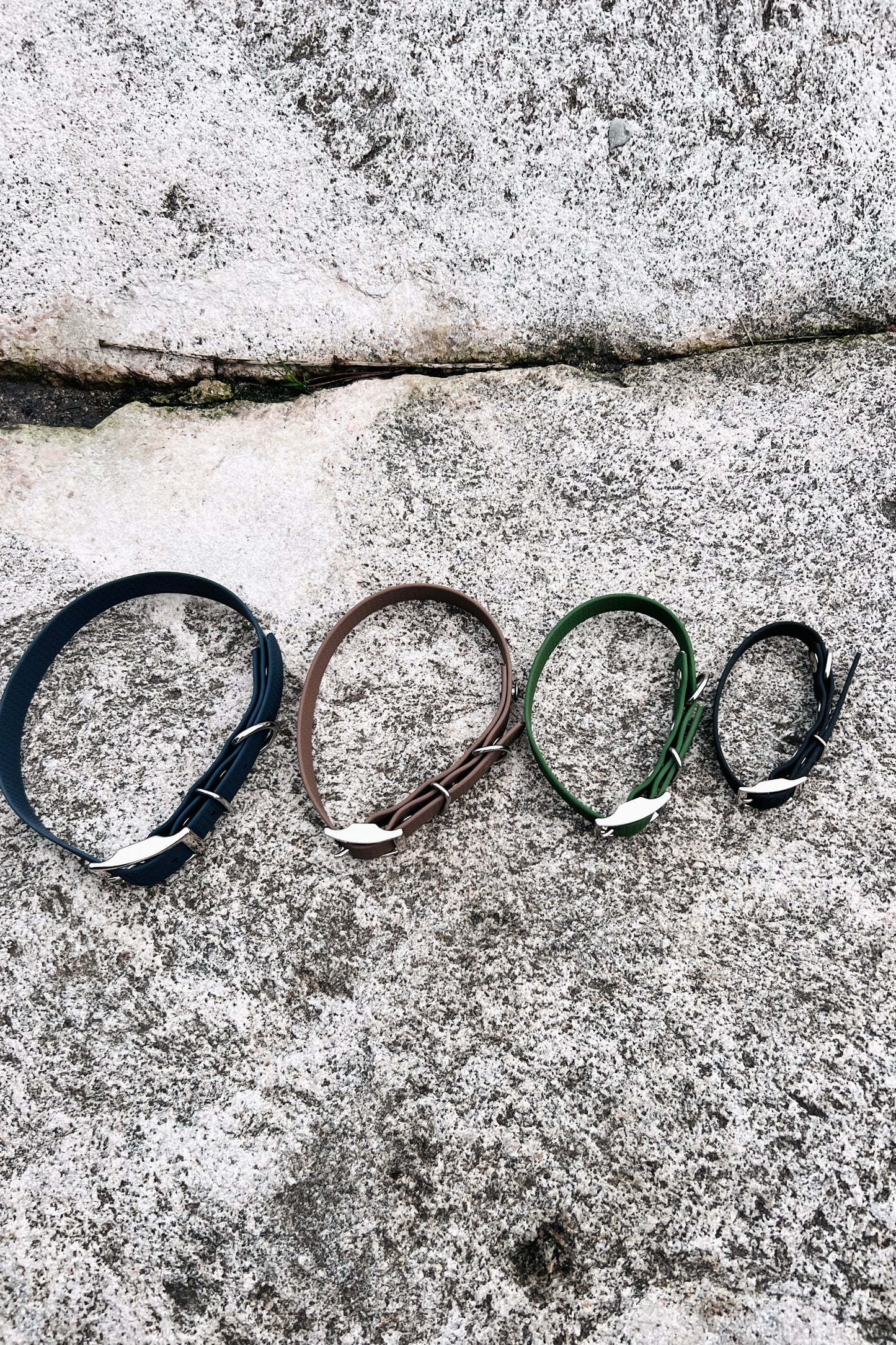 Saga klassiskt hundhalsband