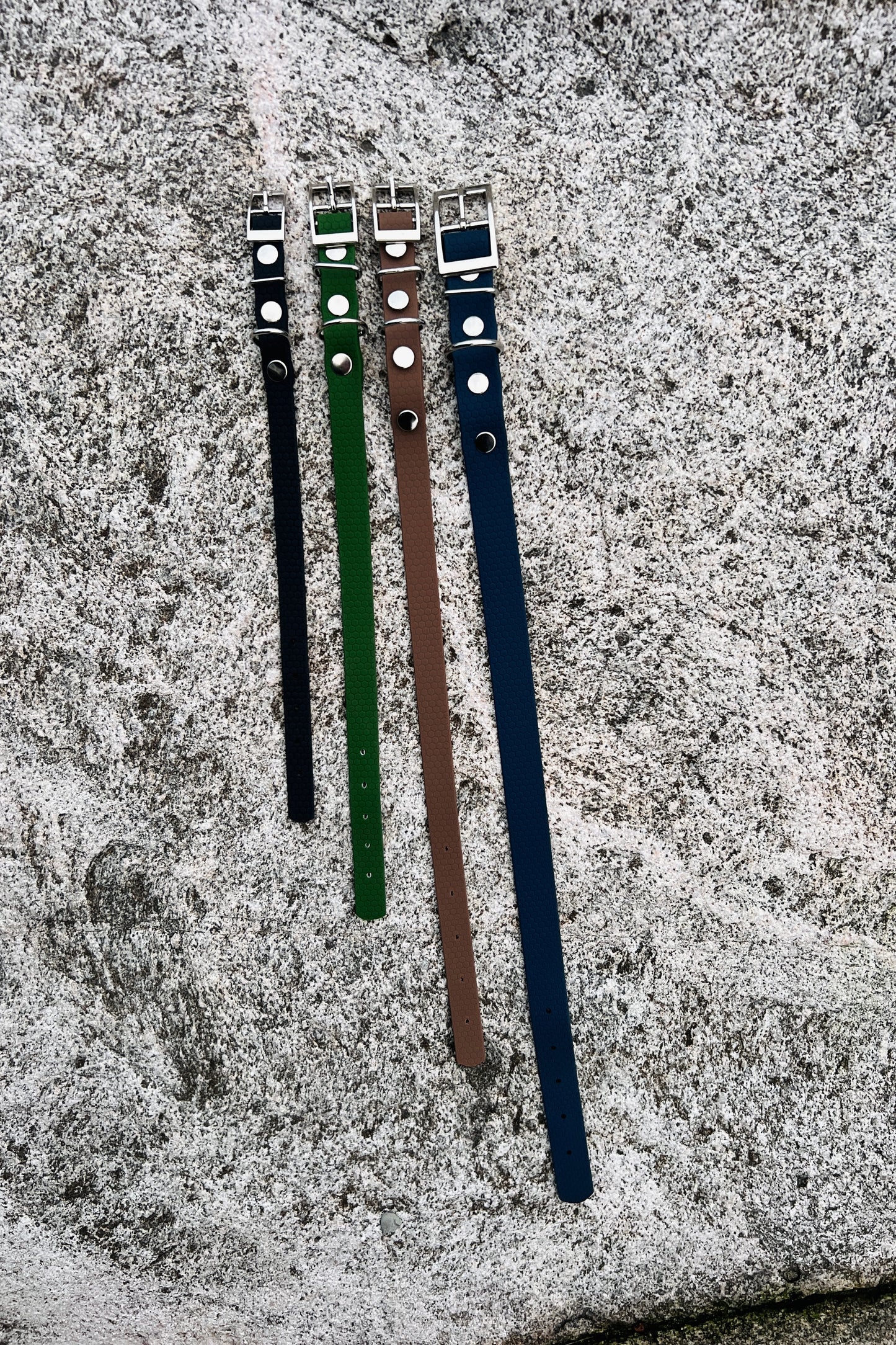 Saga klassiskt hundhalsband