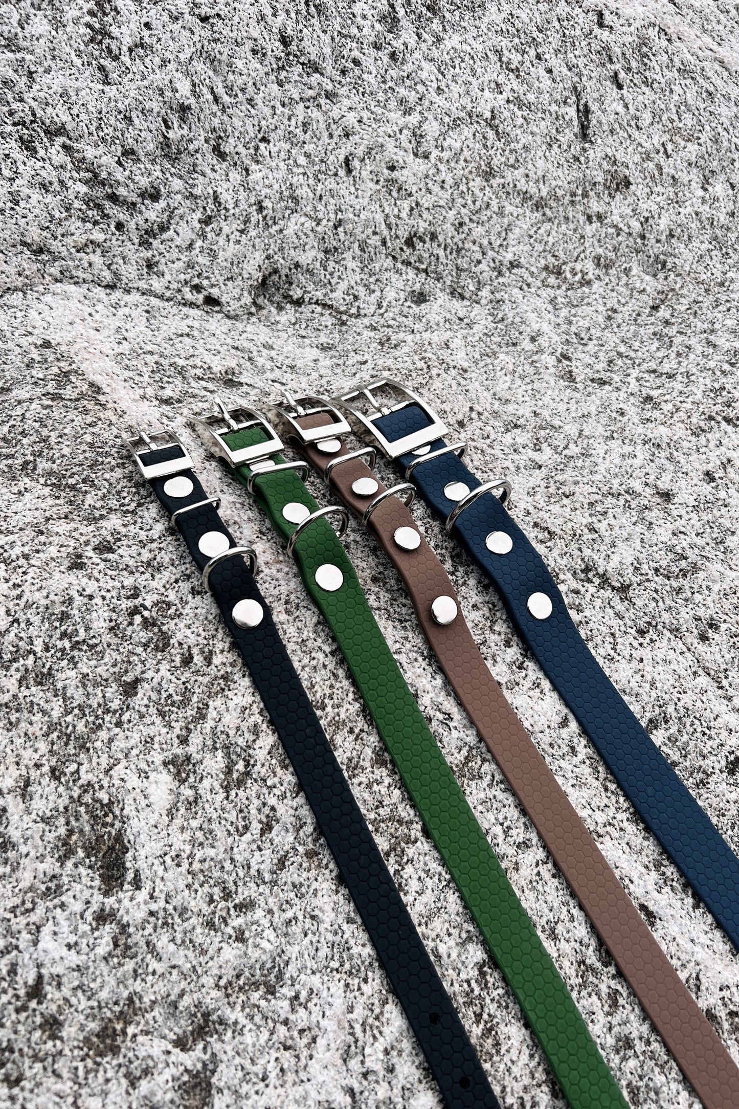 Saga klassiskt hundhalsband