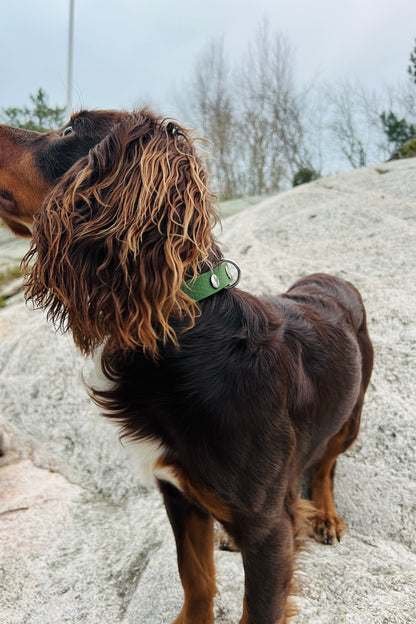 Sally ställbart hundhalsband