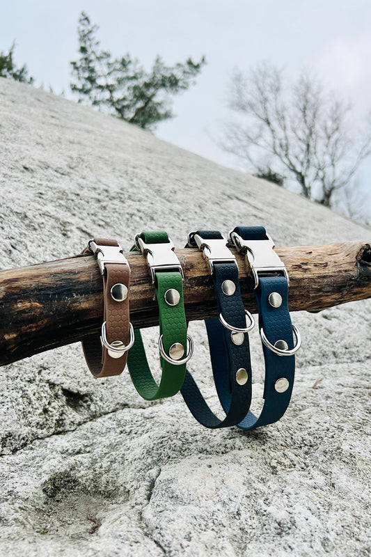 Sally ställbart hundhalsband