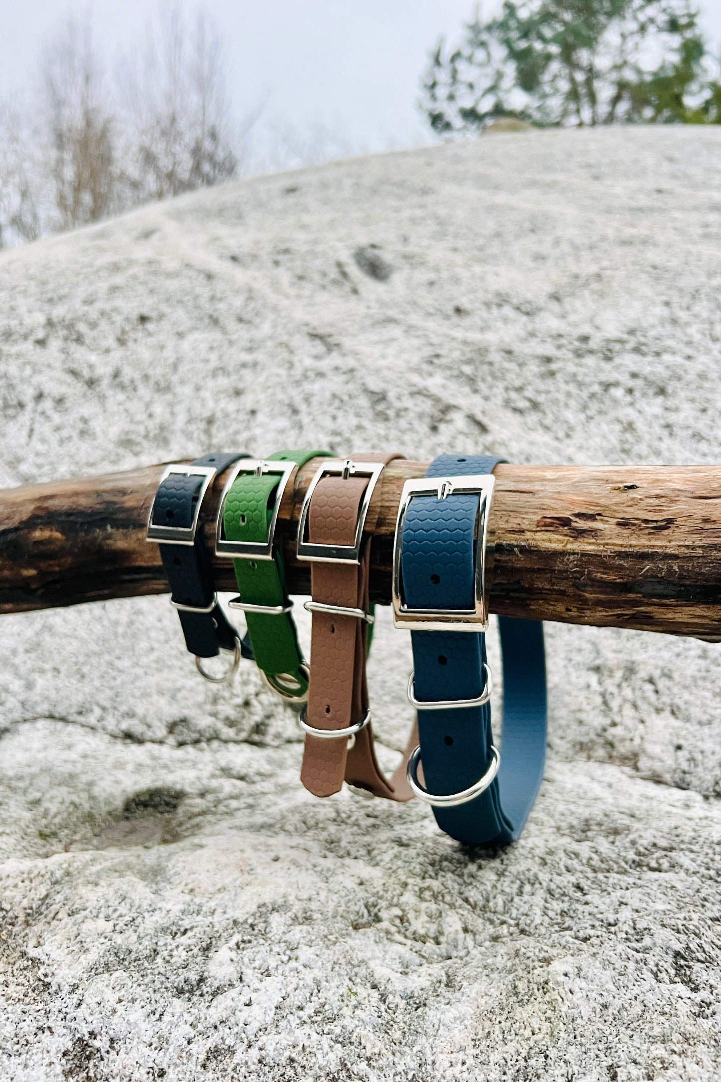 Saga klassiskt hundhalsband