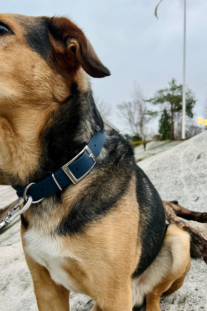 Saga klassiskt hundhalsband