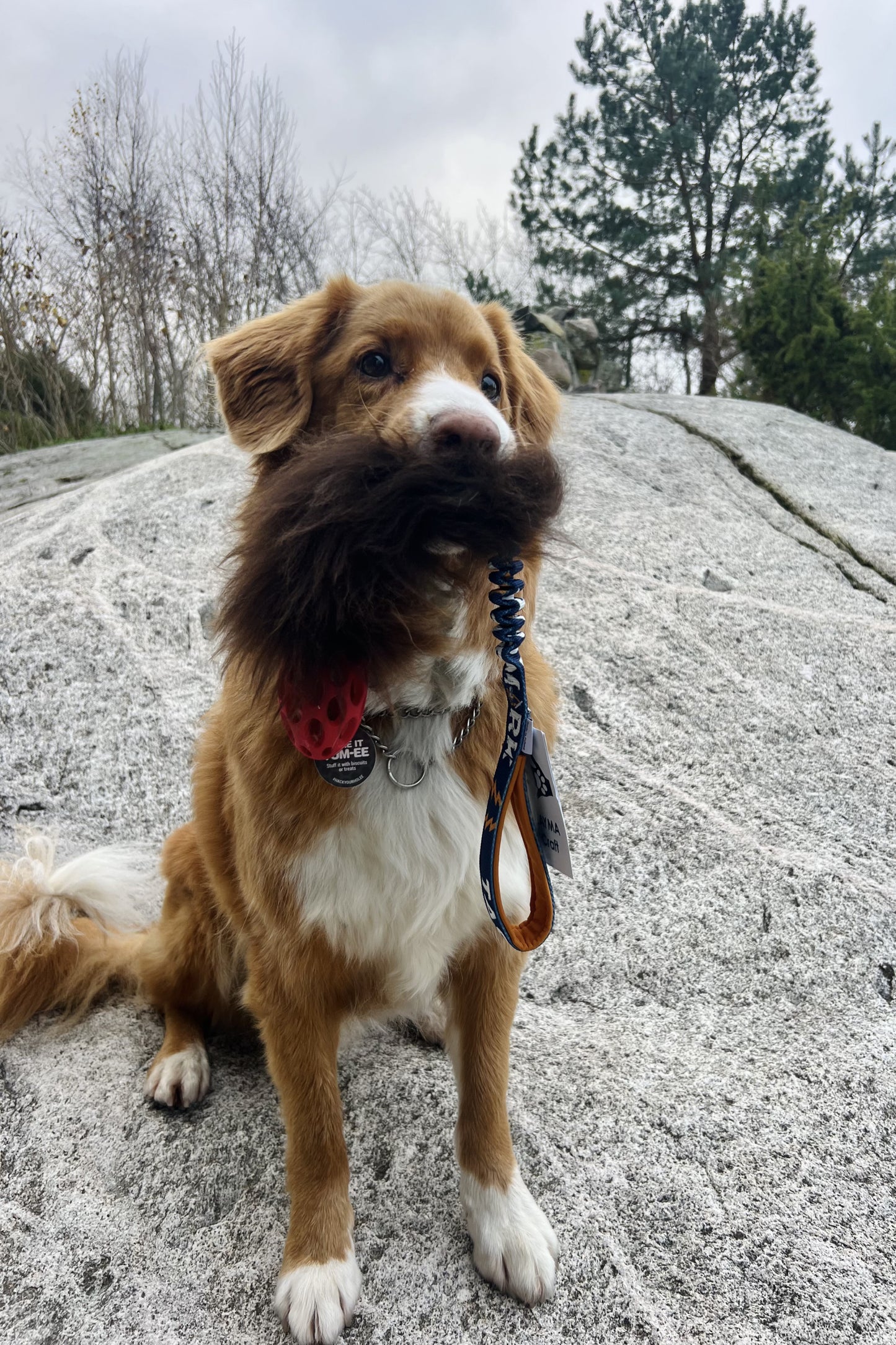 Kampleksak i fårskinn - Hol-EE Fotball