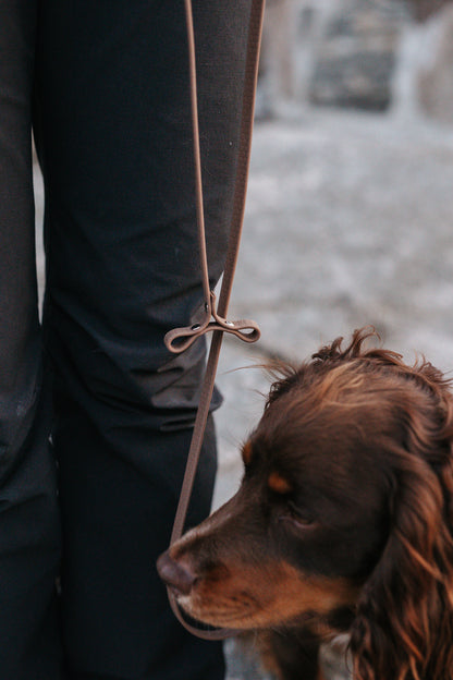 Svante hexa leash