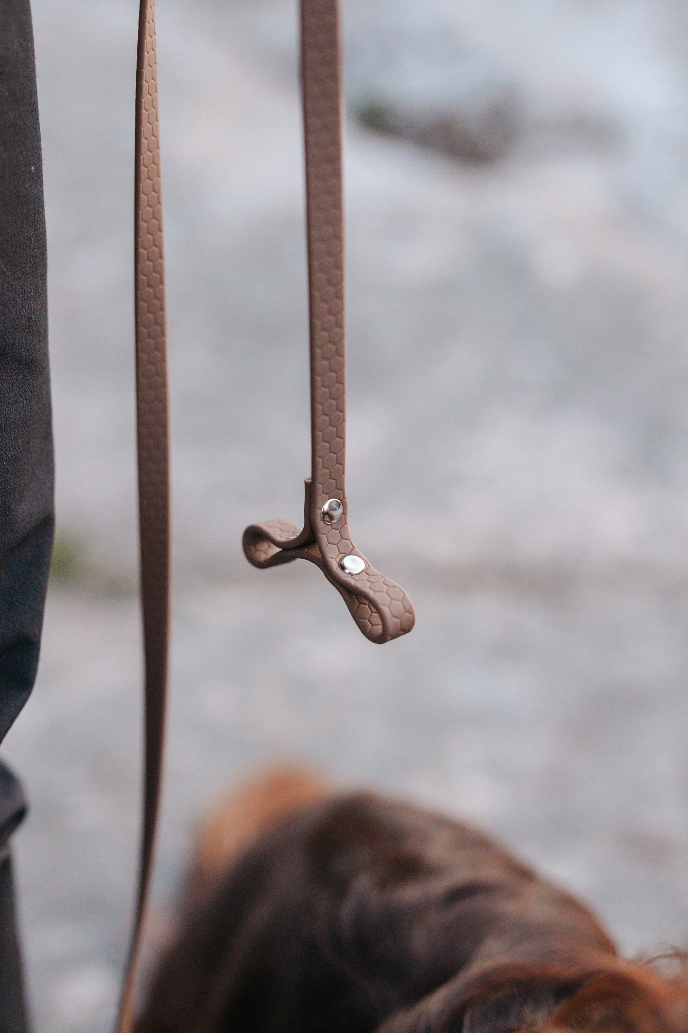 Svante hexa leash