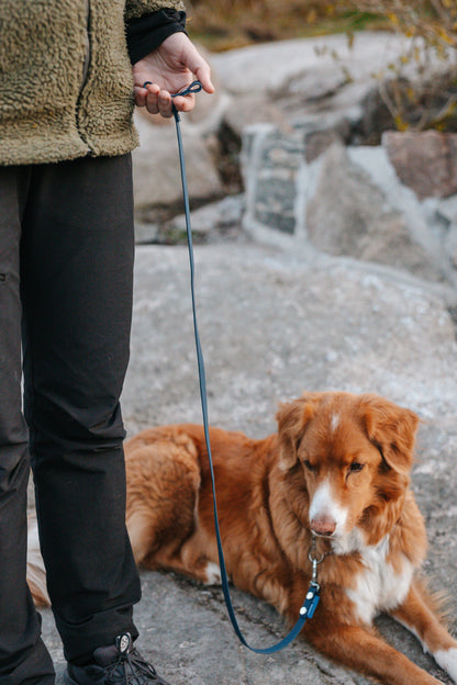 Svante hexa leash