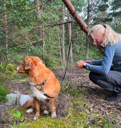 Rex justerbart multikoppel i 2 och 3 meter. Koppel i hexa material att anpassa. Fäst runt kroppen eller justera längden 
