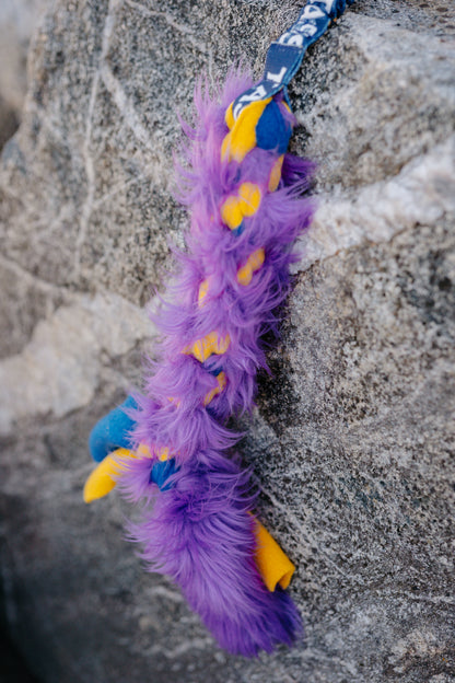 Durable tug toy – bungee braid