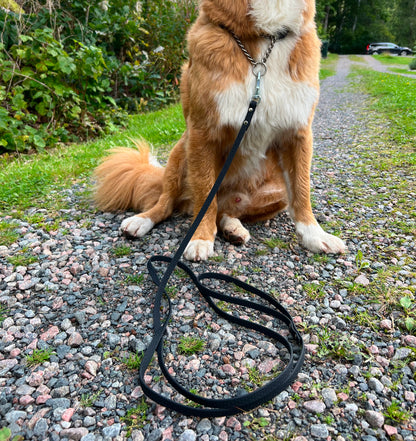 Svante 2 meter och 3 meter nosework koppel med swedish snap hook eller bgb hake. I vattentätt hexa material som inte luktar 