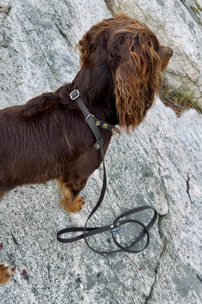 Fanny retrieverkoppel