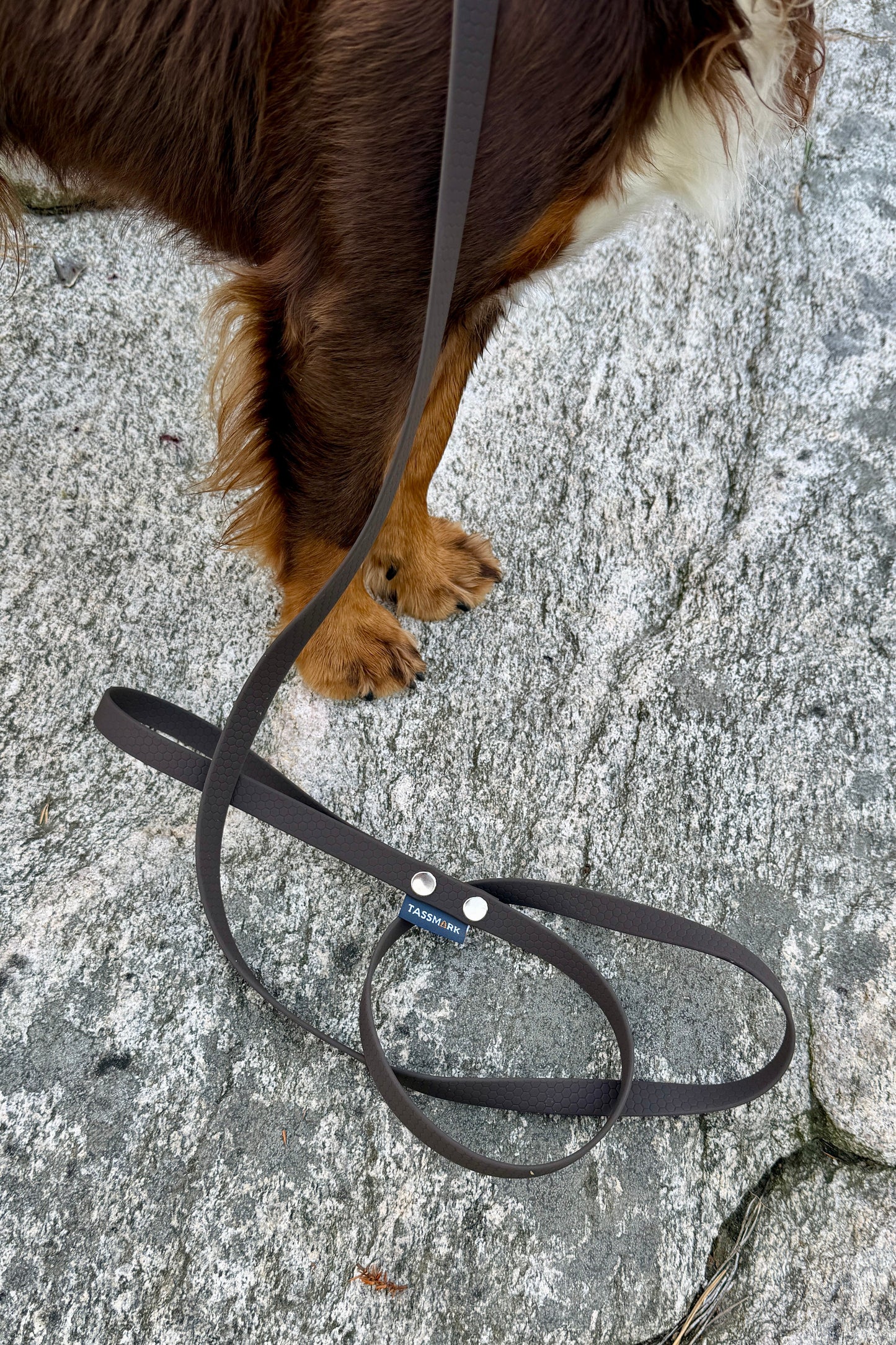 Svante hexa leash